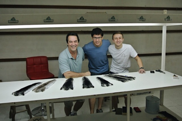 Выращивание шиншил и производство шиншиллового меха